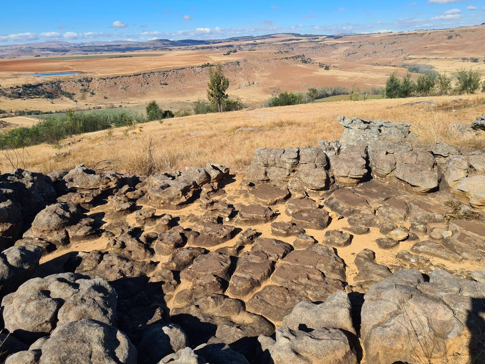 Field landscape at the dig site
